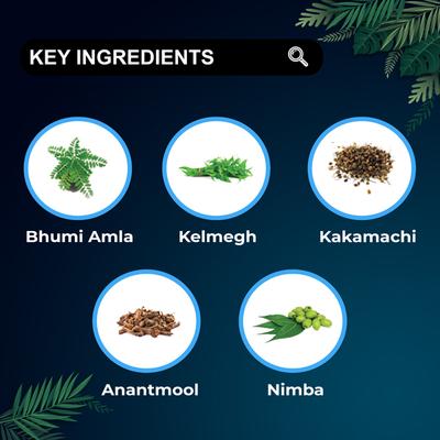 Vedyaraj Vedliv Liver Care 500 mg Capsules 60's - Speciality Medicines