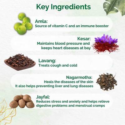 Dr.Vaidya's Herbofit Capsule 30's - Speciality Medicines