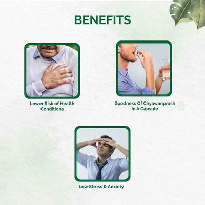 Dr.Vaidya's Herbofit Capsule 30's - Speciality Medicines