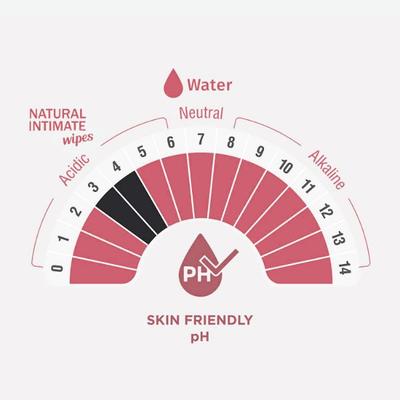 SheNeed Feminine Intimate Wipes 25 Wipes(Pack Of 2) 50 gm - Intimate Care