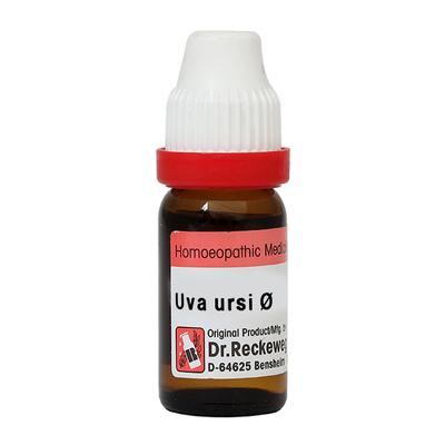 Dr. Reckeweg Uva Ursi Ø Liquid 20 ml - Mother Tincture