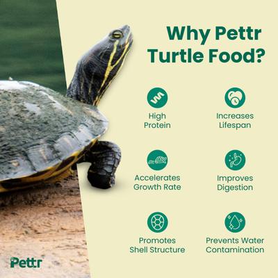 Pettr Turtle Food Treat Pellets - Fish Flavoured 370 gm - Petfood