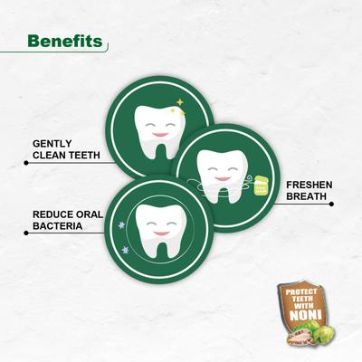 Apollo Noni with Alovera Complete Oral Care Toothpaste 75 gm - Toothpaste