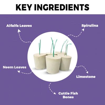 Petvit Calcium Mineral Block 300 gm - Petfood