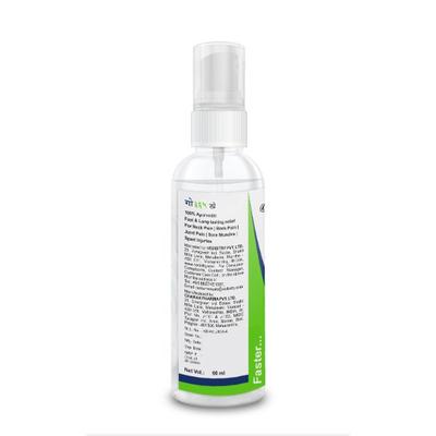 GO365 Ayurvedic Pain Relief Spray 90 ml - Pain Relief (Ayush)