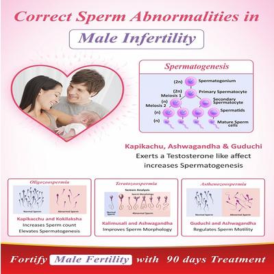 Bal Vedics Ashwamed Capsule 100's - Ashwagandha