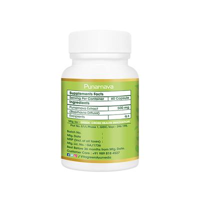 VitaGreen Punarnava Capsules 60's - Herbal Dietary Supplement