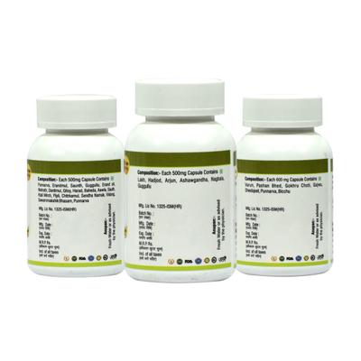 Dr. Axico Kidney Care Formulation Capsule Kit (RPL - 23P, RPL - 23L & RPL - 23R) (Pack of 3 x 60's) 1's - Speciality Medicines