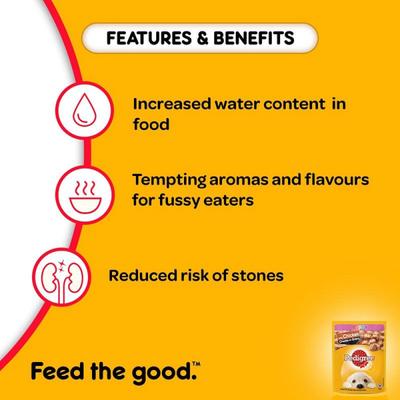 Pedigree Puppy Chicken Chunks in Gravy (Pack of 70gm x 15) 1050 gm - Petfood
