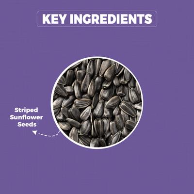 Petvit Striped Sunflower Seeds 1000 gm - Petfood