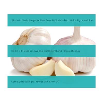 20 Microns Herbal Garlic Extract Capsule 60's - Speciality Medicines