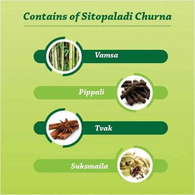 Baidyanath Sitopaladi Churna 60 gm - Speciality Medicines