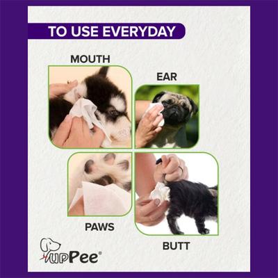 PupPee Wipe Me Pet Wipes 100's - Pet Grooming