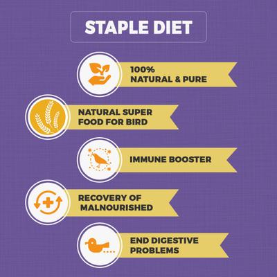 Petvit Calcium Mineral Block 300 gm - Petfood