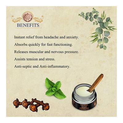Bioayurveda Basics Headache Fast Relief Balm 20 gm - Balm/Ointments