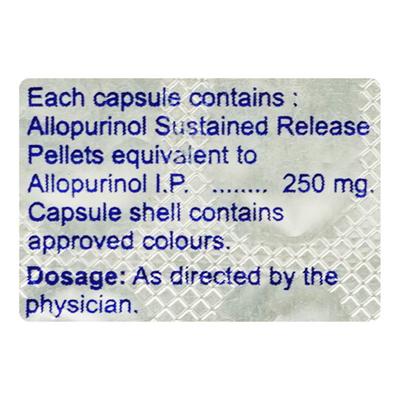 LOGOUT SR Capsule 10's - Gout