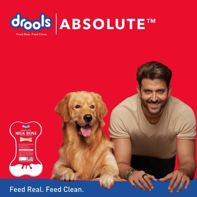 Drools Absolute Milk Bone Jar, Dog Treats - NEW 20's - Petfood