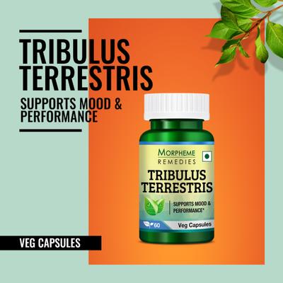 Morpheme Remedies Tribulus Terrestris Caps - 500mg Extract 60's - Herbal Dietary Supplement