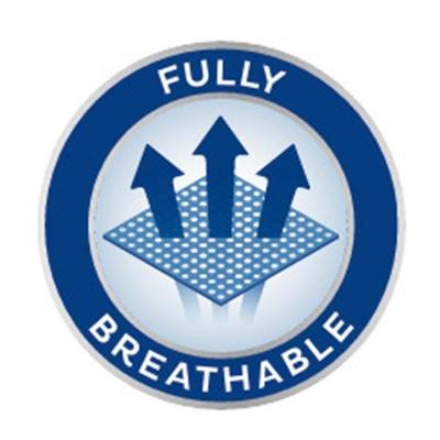 TENA Lady Pull Ups-Pant Style Underwear (Large) 10's - Adult Diapers & Pads