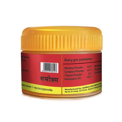 Dr. Vaidya's Rumox Balm (Pack of 2 x 12 gm) - Speciality Medicines