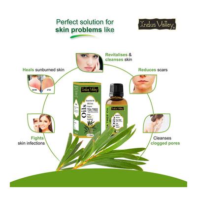 Indus Valley Essential Oil - Tea Tree 15 ml - Personal Care (Ayush)