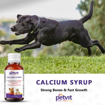 Petvit Calcium Syrup 100 ml - Petfood