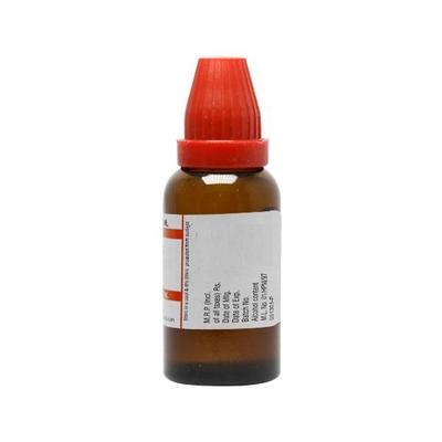 Dr.Willmar Schwabe Allium Sativum Ø Liquid 30 ml - Mother Tincture