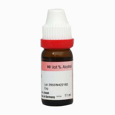 Dr. Reckeweg Cholesterinum 30 Liquid 11 ml - Dilutions