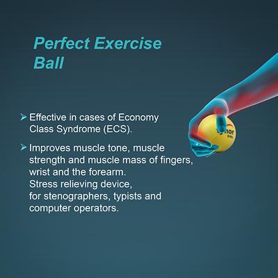 Tynor Exercising Ball - Ortho (H 05) - Supports And Braces