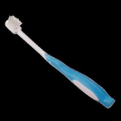 Farlin Trainer Toothbrush Set - Blue - Baby Oral Care