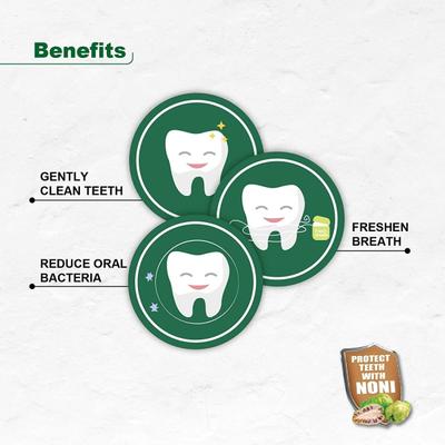 Apollo Noni Herbal Toothpaste (Pack of 6 x 150 gm) - Personal Care (Ayush)