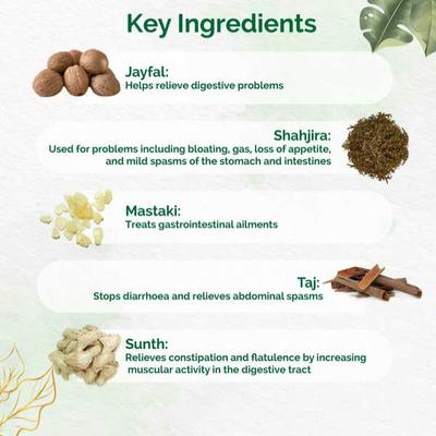 Dr. Vaidya's Weight Gain Pack - Speciality Medicines