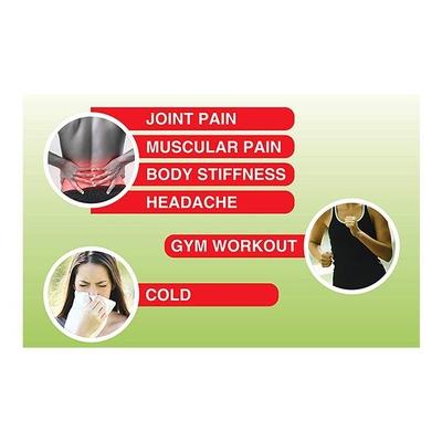 GreenKure Pain Relief Ayurvedic Oil 50 ml - Pain Relief (Ayush)