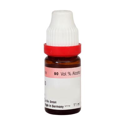 Dr. Reckeweg Spongia Tosta 2X Liquid 20 ml - Dilutions