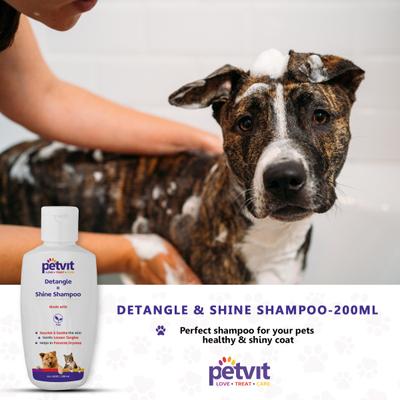 Petvit Detangle & Shine Shampoo - For All Breeds Dogs & Cats 200 ml - Pet Grooming