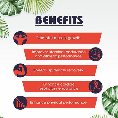 MBDH Wellness Testoboost Capsule 60's - Speciality Medicines