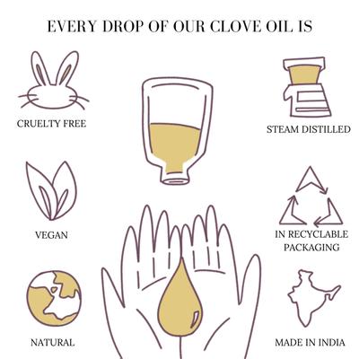Essentia Extracts Pure Essential Oil - Clove 15 ml - Essential Oils
