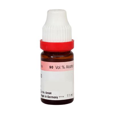 Dr. Reckeweg Taraxacum Officinale 200 Liquid 11 ml - Dilutions