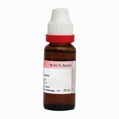 Dr. Reckeweg Solidago Virgaurea 200 Liquid 11 ml - Dilutions