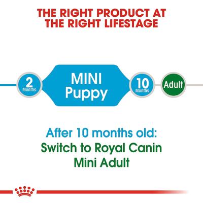 Royal Canin Mini Puppy Dry Dog Food (Upto 10 kg) 4 kg - Petfood