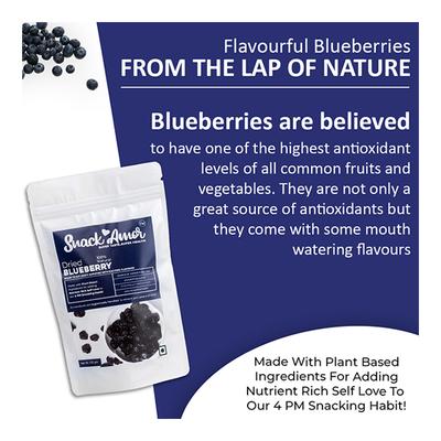 Snack Amor Dried Blueberries 100 gm - Nutritional Bars