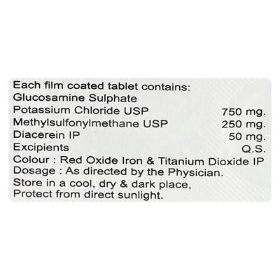 LECEREIN GM Tablet 10's - Arthritis-Oth