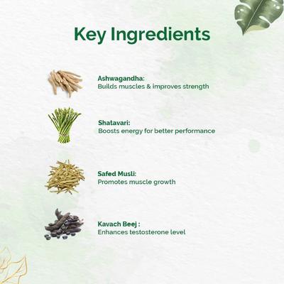 Dr. Vaidya's Herbobuild Capsule (Pack of 3 x 50's) - Health Products
