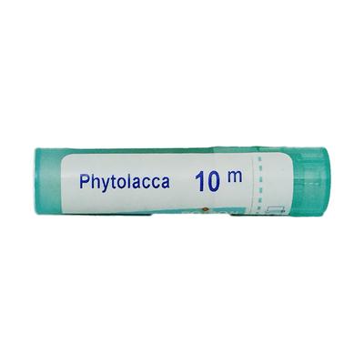 Boiron Phytolacca 10M Multi Dose PELLETS 4 GM - Speciality Medicine