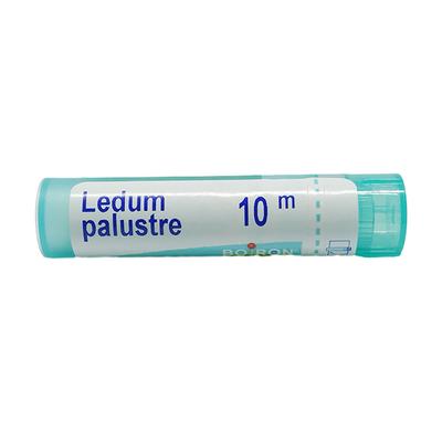 Boiron Ledum Palustre 10M Multi Dose PELLETS 4 GM - Triturations (Homeo Tablets)