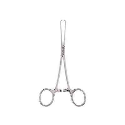 B Positive Allis Tissue Forcep (8 inch) 1's - Scissors - S