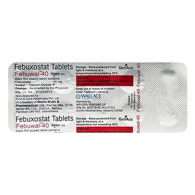 FEBUWAL 40 Tablet 10's - Gout