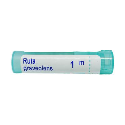 Boiron Ruta Graveolens 10M Multi Dose PELLETS 4 GM - Speciality Medicine