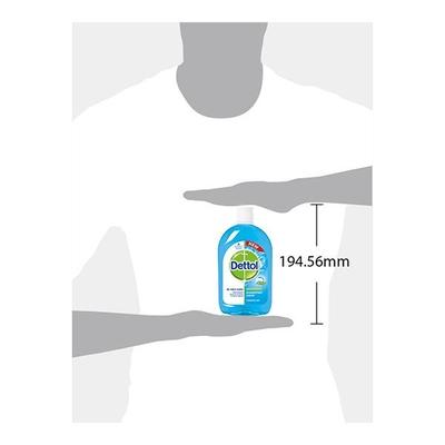 Dettol Disinfectant Liquid - Menthol Cool 500 ml - Others
