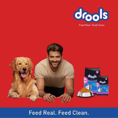 Drools Kitten(1-12 Months) Dry Cat Food, Ocean Fish with Free Container 1200 gm - Petfood